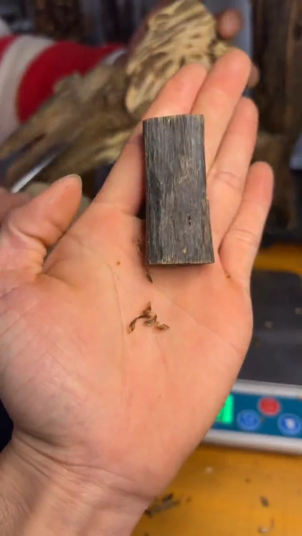 沉香沉香碎屑沉水指天椒品种13.8克