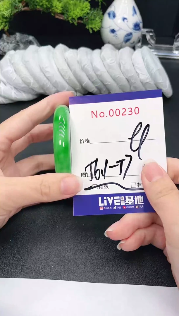 未镶嵌手镯翡翠230