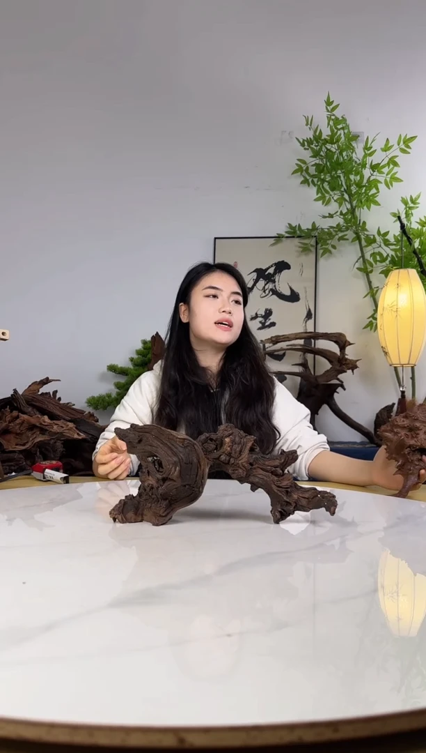 渔*圈拍沉木定向链接编号45