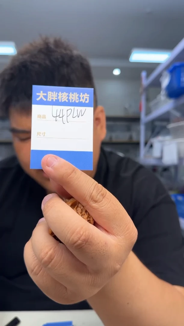 文玩核桃把件40蟠龙纹