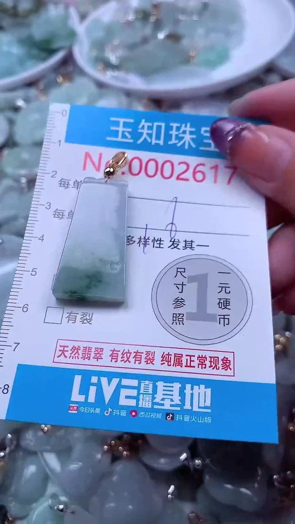 翡翠未镶嵌吊坠(不含链)2617
