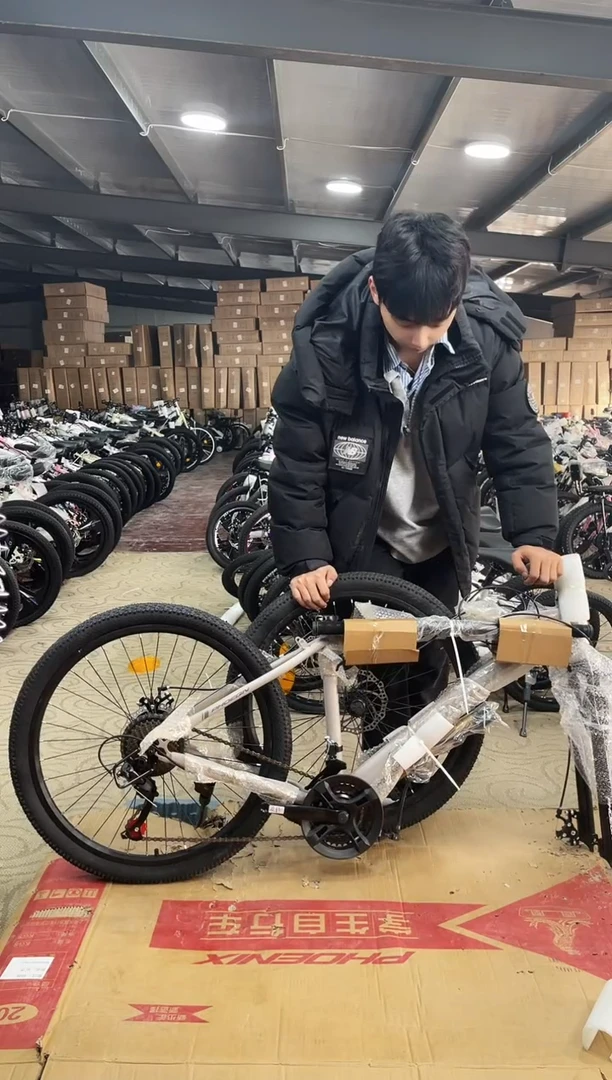 14寸-24速-棕色【微瑕运损，不退不换】