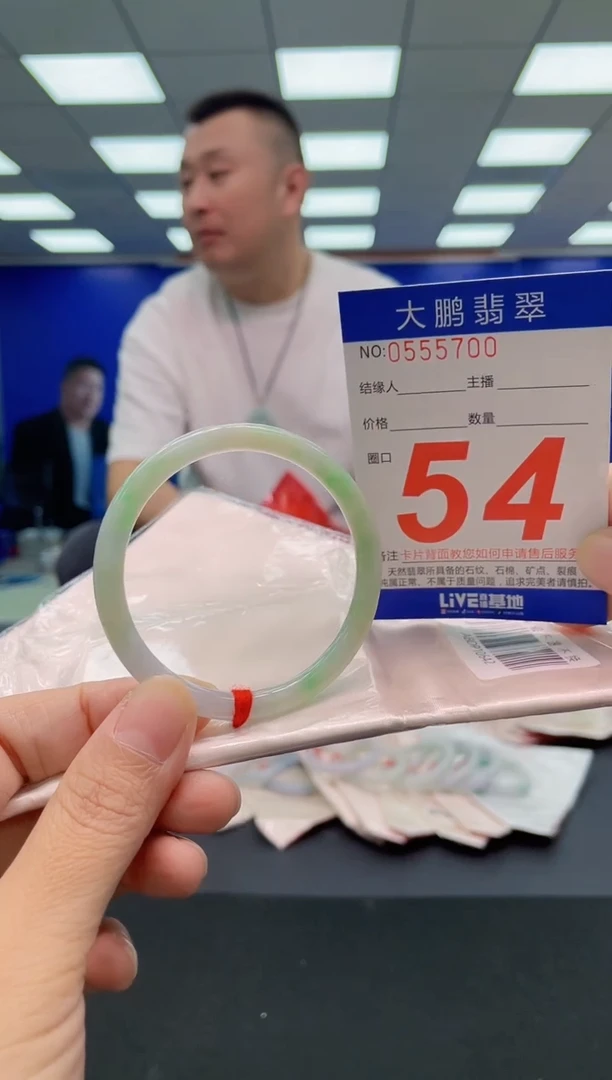 未镶嵌手镯翡翠AAAAAAAAA