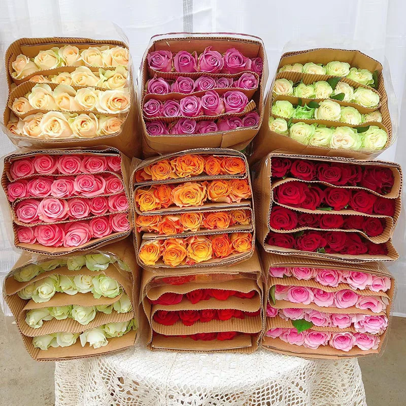 【基地直发】新鲜现采现摘玫瑰鲜花美观窗台家居瓶顺丰直达