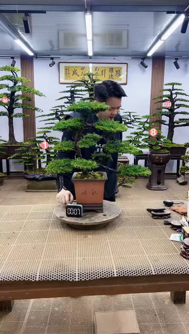 【闪购商品】00000000