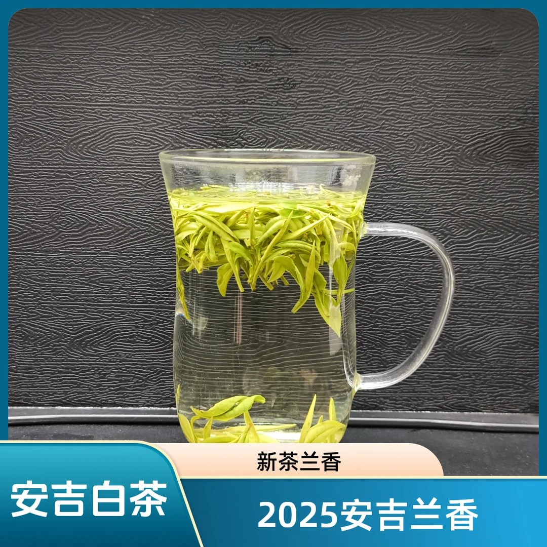 2025正宗安吉高山明前小芽白茶绿茶礼盒装新茶兰花香特级03