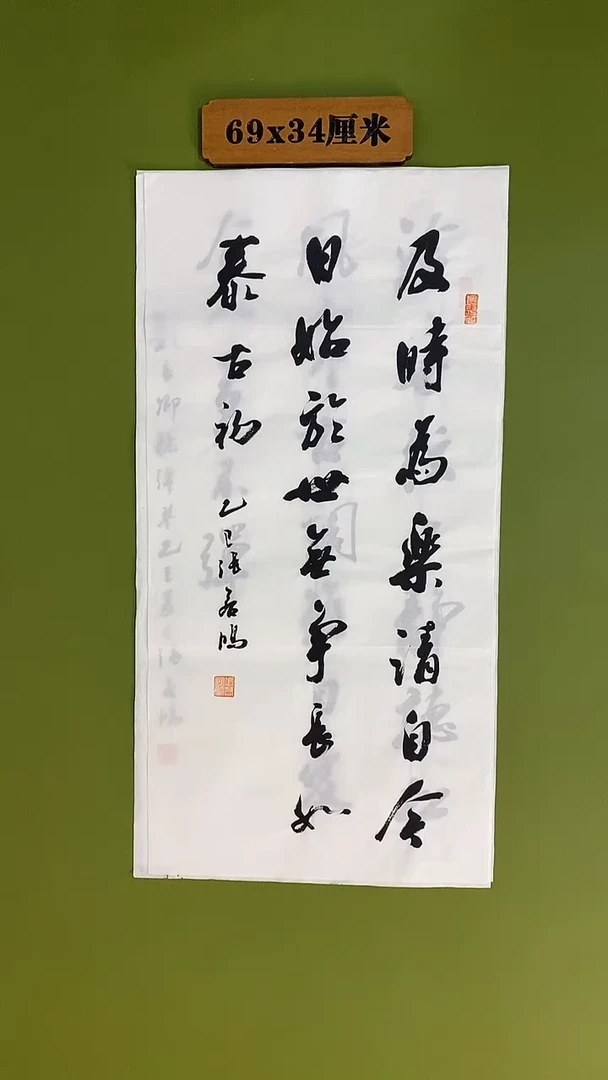 书法书法 张若鸿 尺寸69cm*34cm