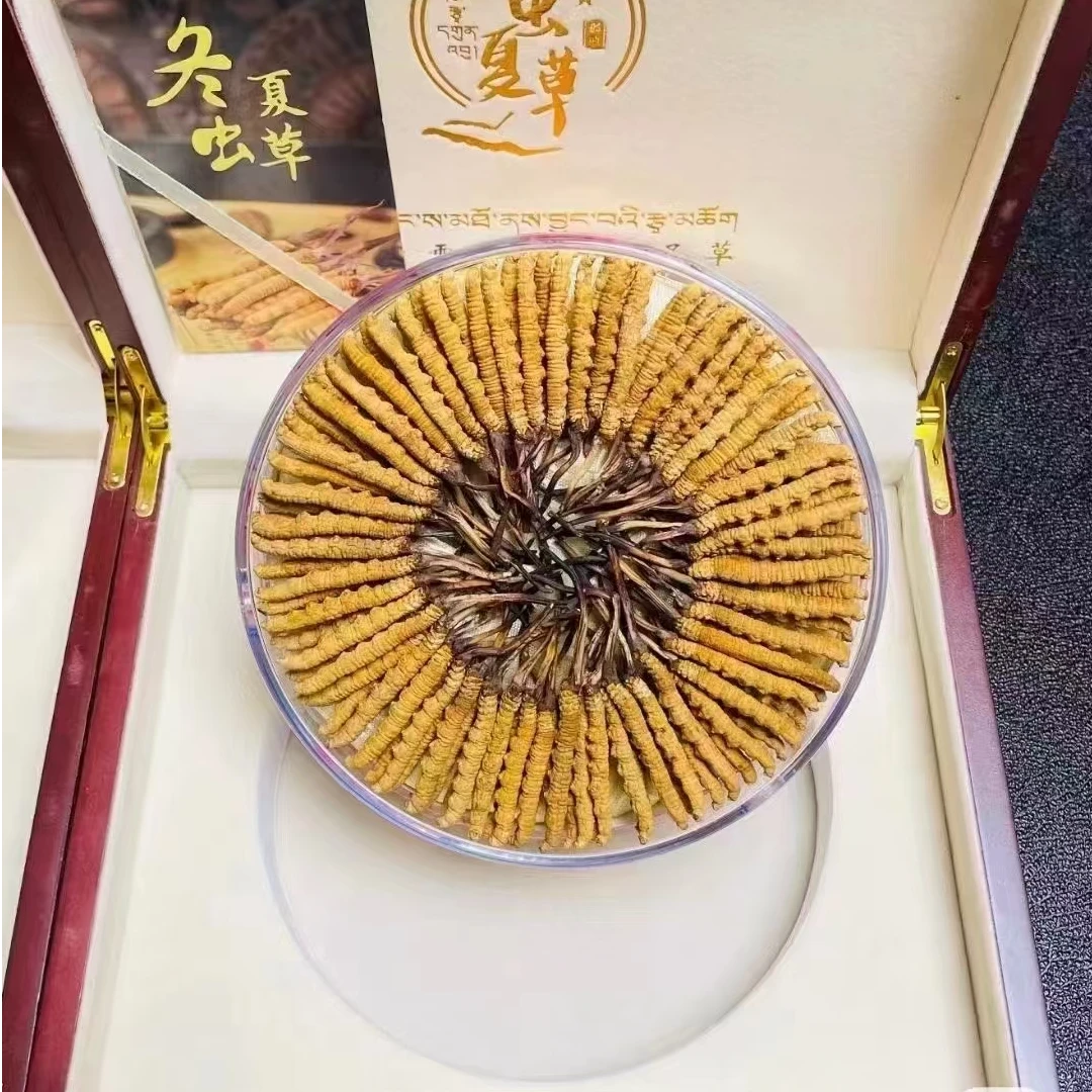 【大圆盘-整根王级别冬虫夏草】正宗藏区冬虫夏草滋补礼盒正品