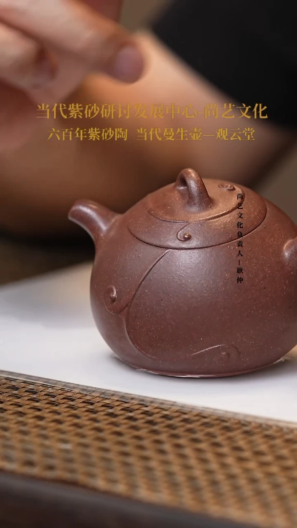 茶壶紫砂宜兴紫砂 紫砂壶 FWH