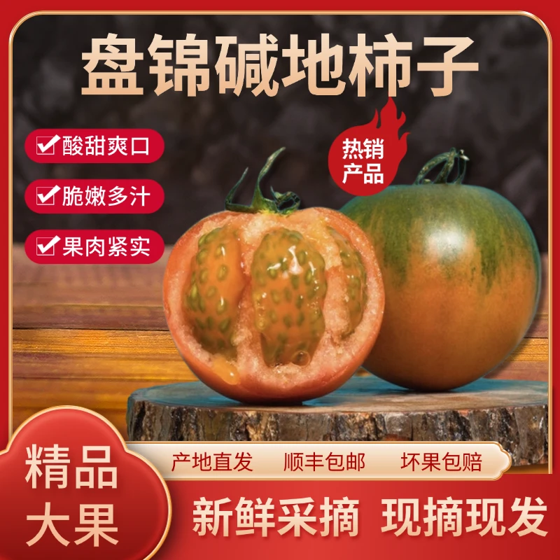 盘锦碱地柿子（5斤装）铁皮柿子，脆嫩多汁，酸甜爽口，顺丰包邮