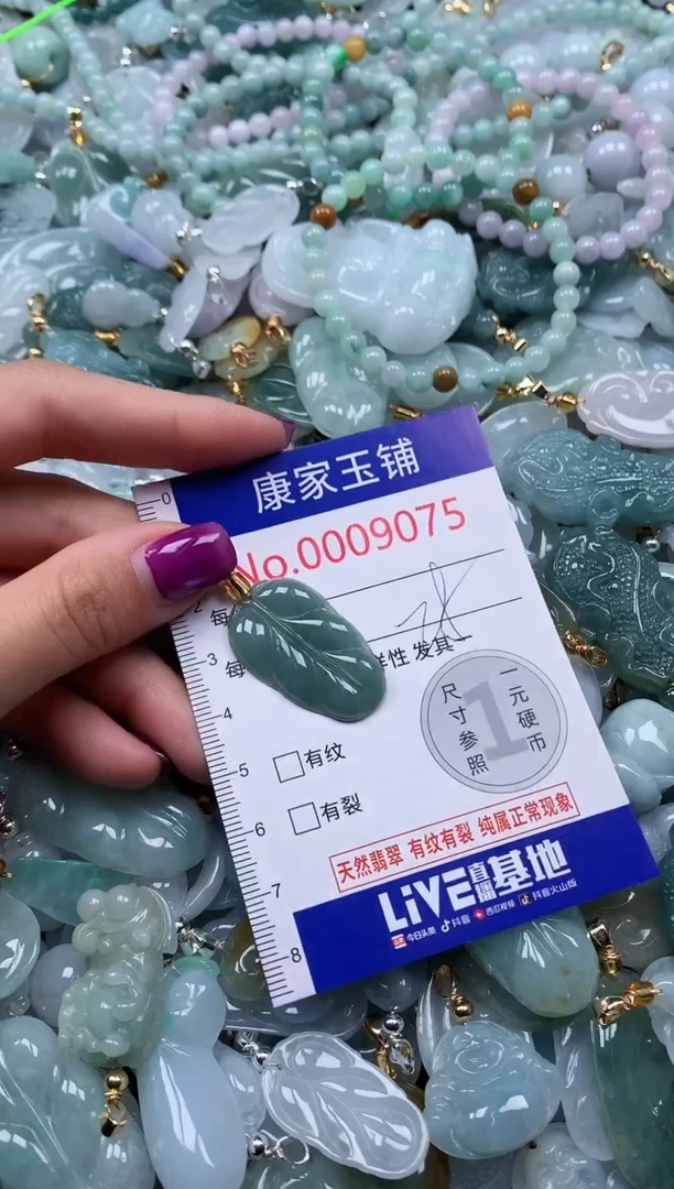 颈饰未镶嵌翡翠9075