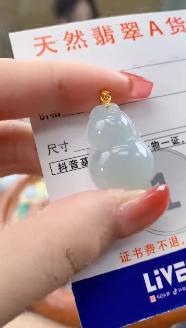 颈饰未镶嵌翡翠天然A货翡翠挂件