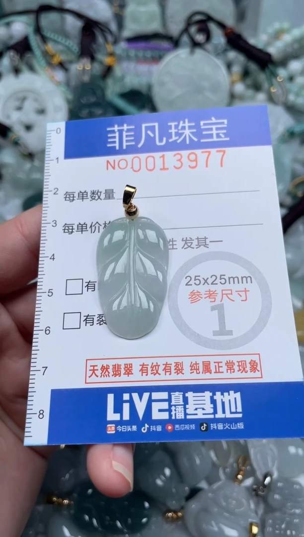 颈饰未镶嵌翡翠13977