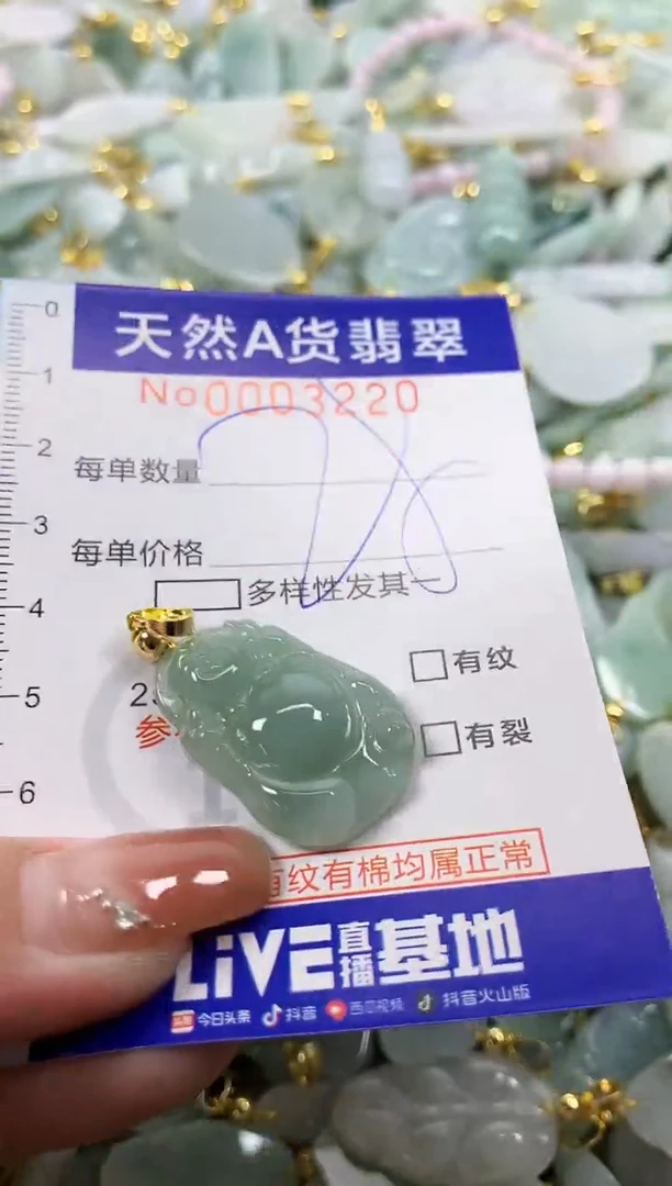 颈饰未镶嵌翡翠天然A货翡翠