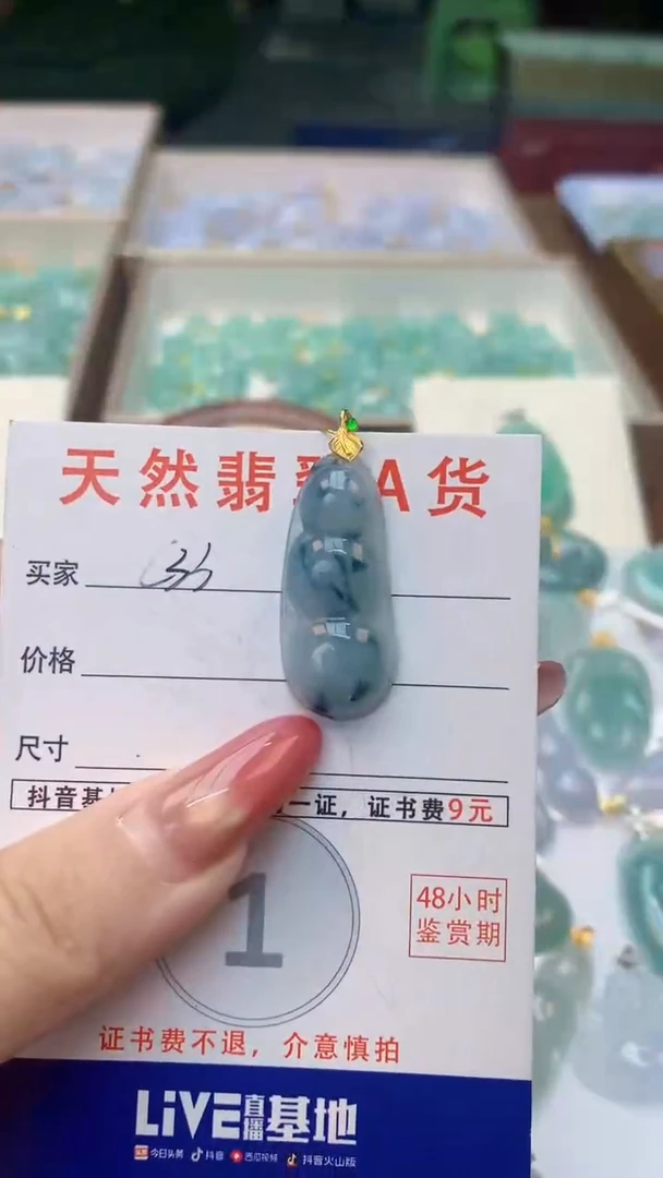 颈饰未镶嵌翡翠天然A货翡翠挂件