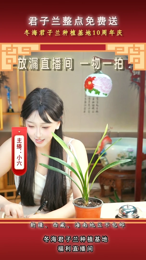 当前无花朵，栽培后可花朵用****4君子兰
