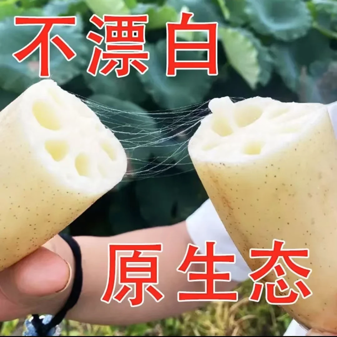 3斤装新鲜现挖现发莲藕脆嫩多汁不漂白原生态藕