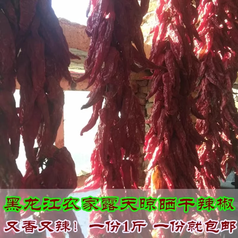 红辣椒东北黑龙江肇东农家手工穿串自然晾晒东北干辣椒一份500g