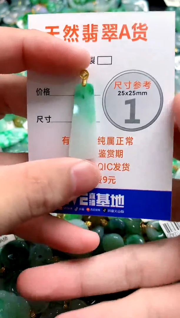 颈饰未镶嵌翡翠13006271
