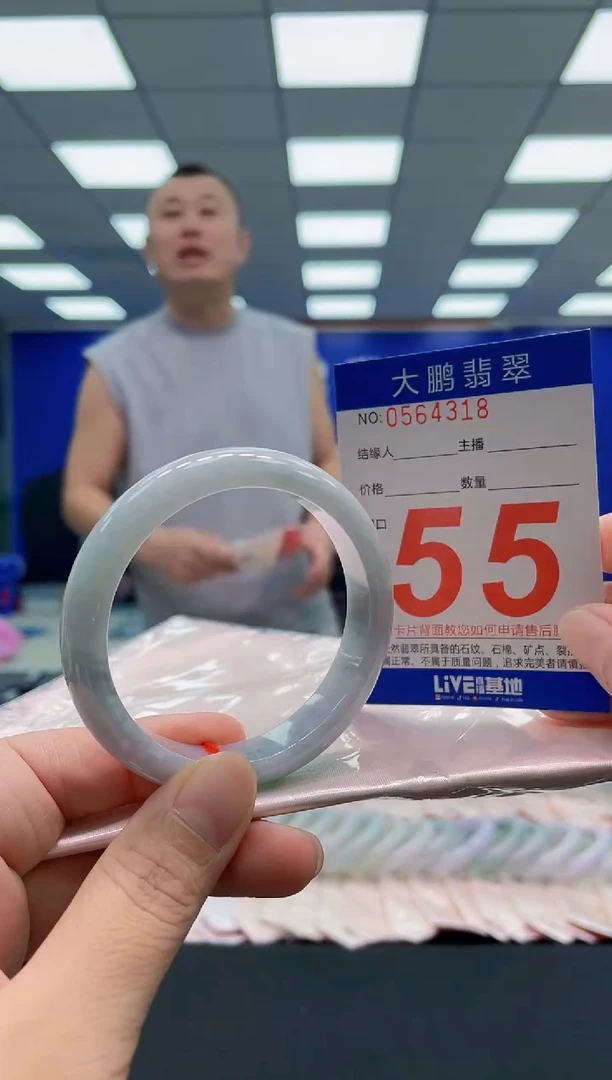 未镶嵌手镯翡翠AAAAAAAAA