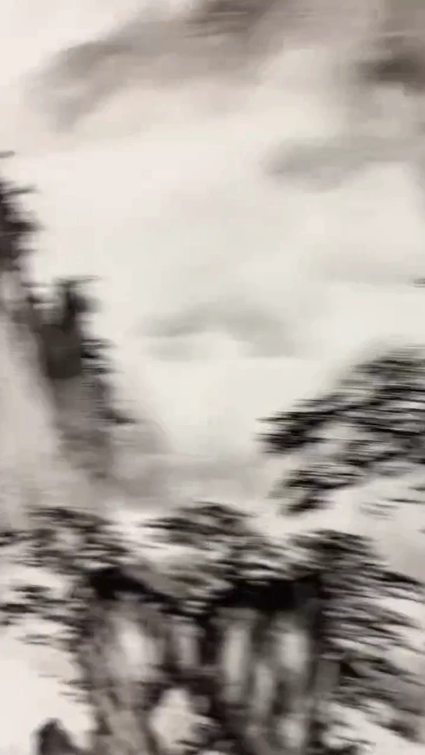 国画李纲-4.5平尺-山水国画
