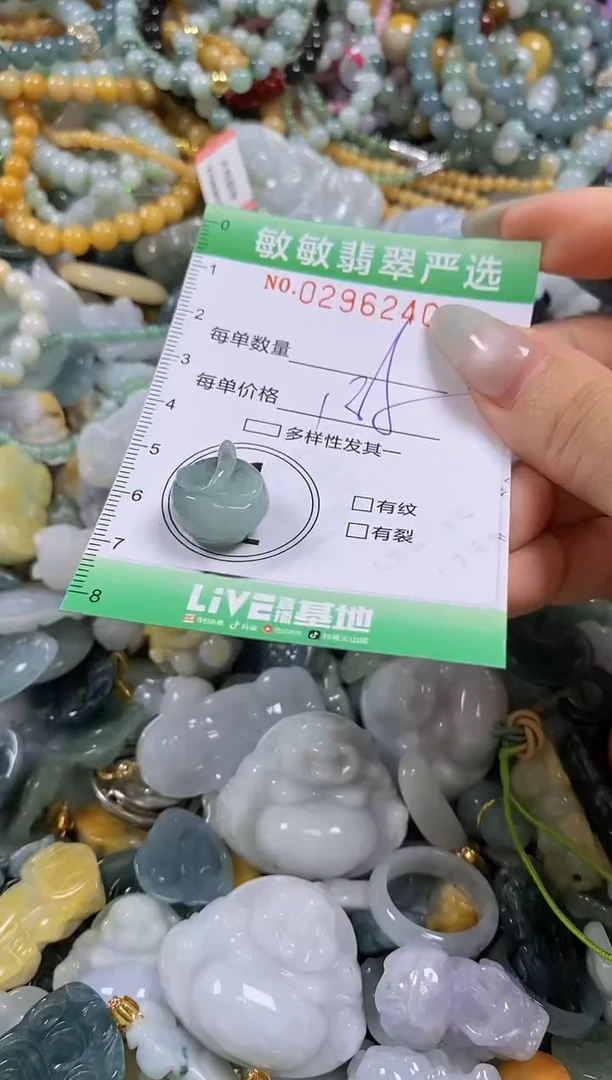 翡翠未镶嵌颈饰闪购0296240
