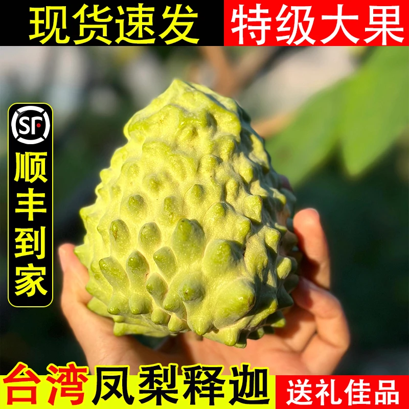 【京东＋顺丰】台湾牛奶凤梨释迦果释迦摩尼果番荔枝特大果水果整箱
