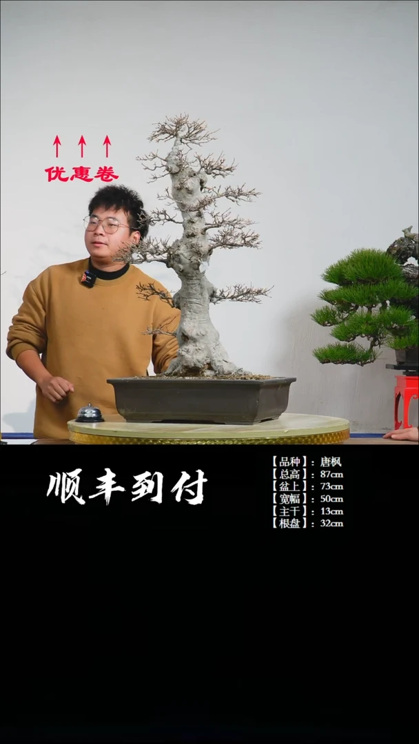 【闪购商品】1z003唐枫bubaoyou