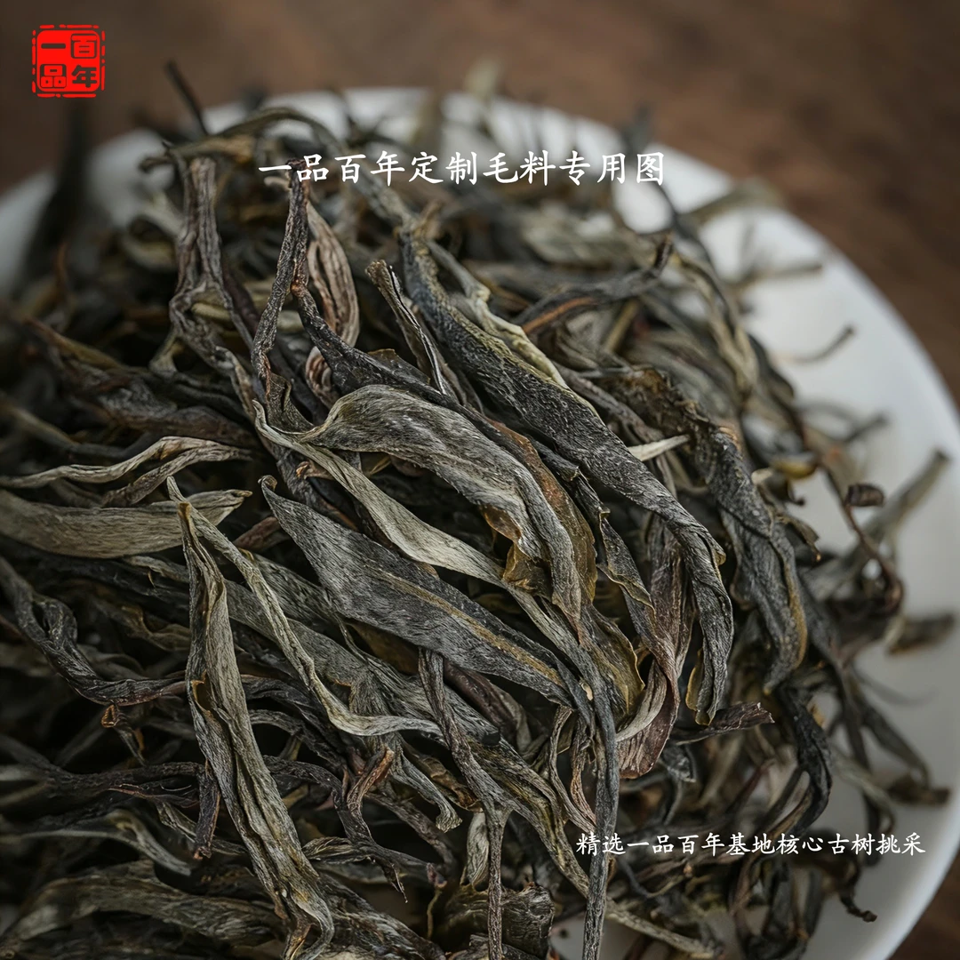 一品百年2023年小荒田古树单株纯料普洱生茶春茶