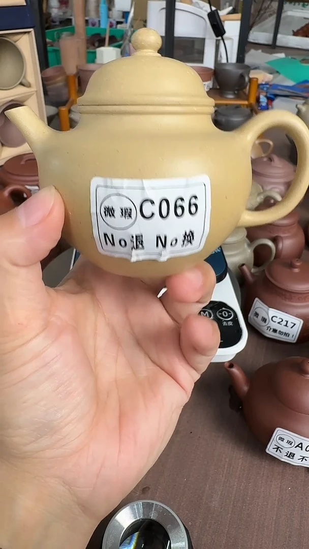 茶壶紫砂R****志微瑕C066本绿掇球