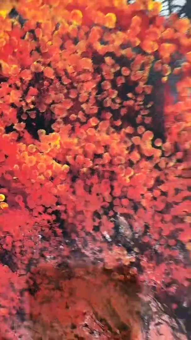 国画画都艺术展厅王辉-23-37