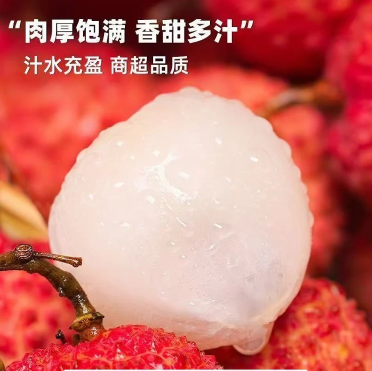 【京东/生鲜冷链/送货上门】福建漳州黑叶荔枝当季新鲜现采现发