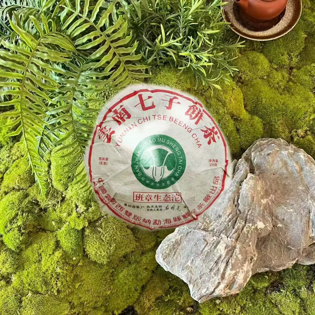 【惠客厅】杜琼芝 班章生态沱 普洱茶（生茶）紧压茶