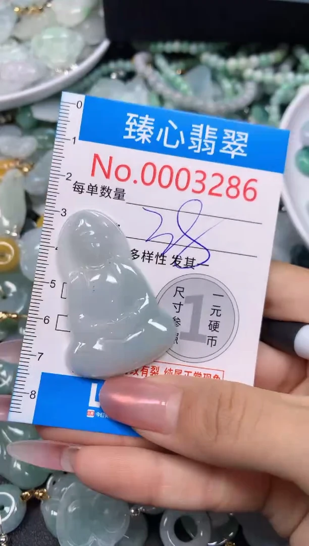 【闪购商品】翡翠颈饰未镶嵌含绳0003286