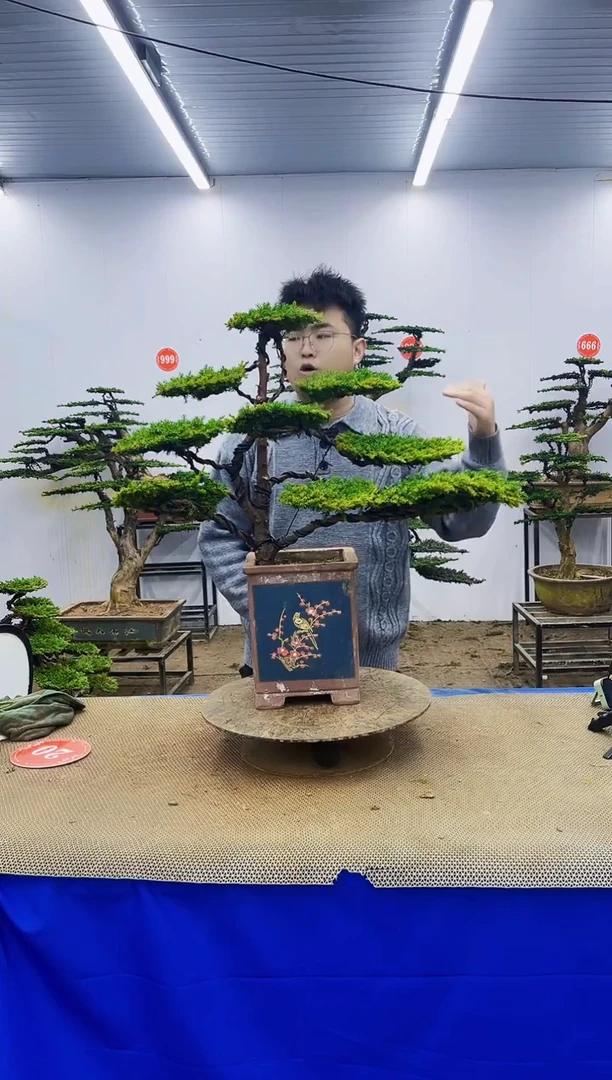 无花朵涛**旧一物一拍，所见即所得