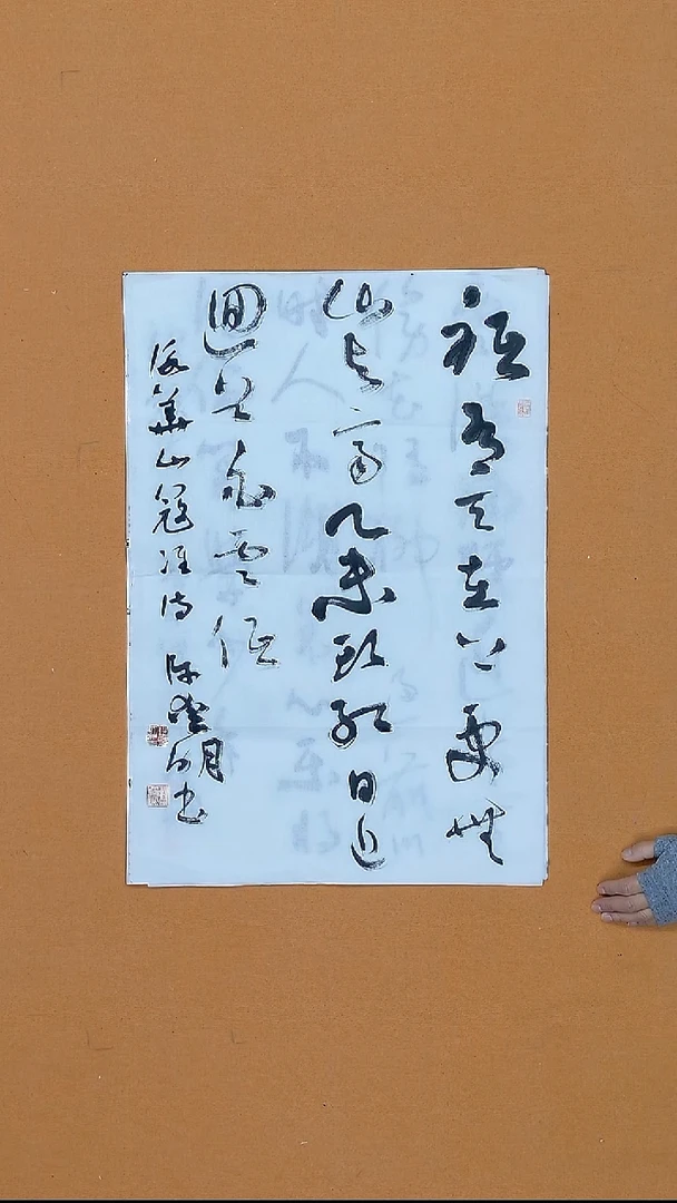书法许爱明  江苏  两届届展 第四届新人新作  45*68