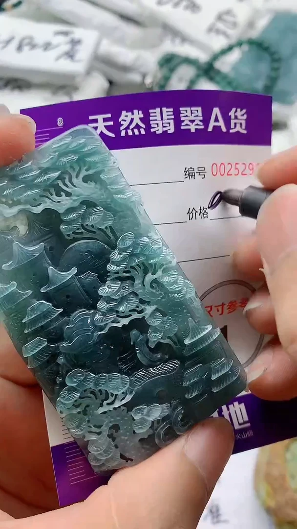 翡翠未镶嵌颈饰88888888