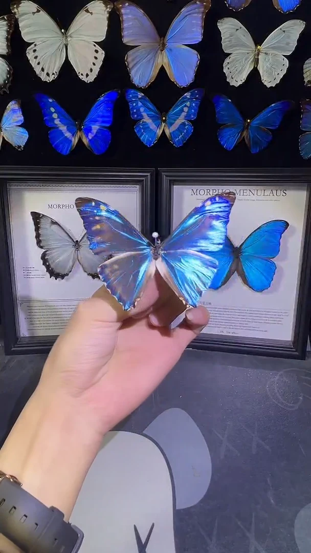 西风闪蝶欧版相框