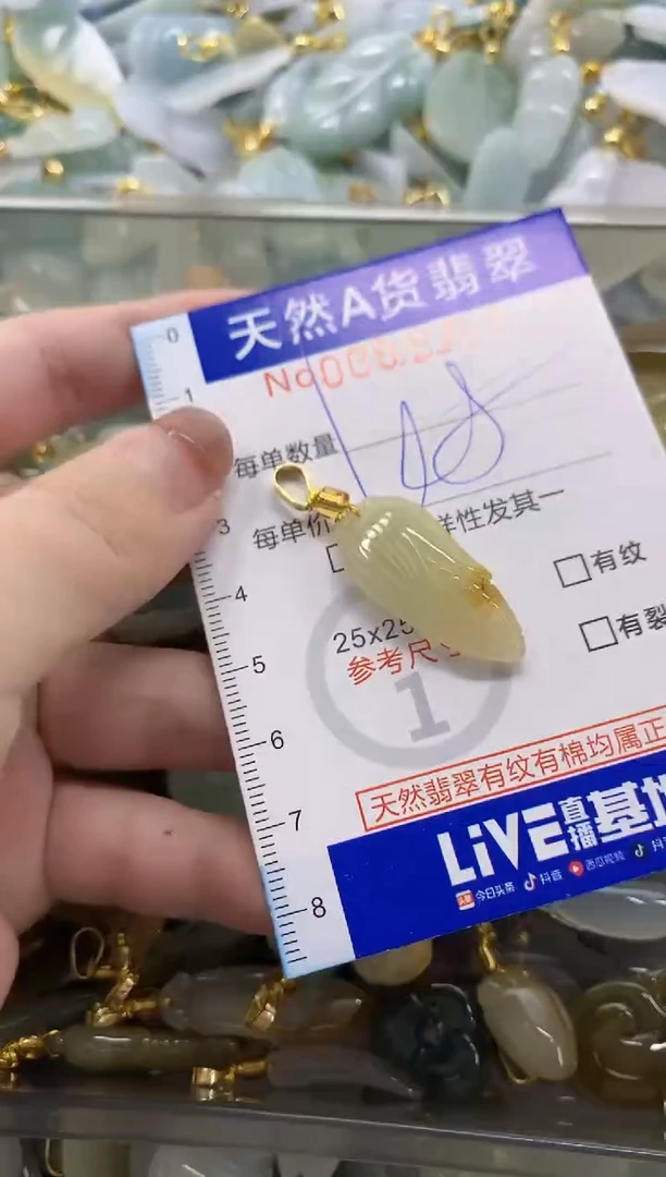 颈饰未镶嵌翡翠天然A货翡翠