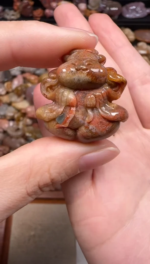 硅化珊瑚（珊瑚玉）未镶嵌颈饰641