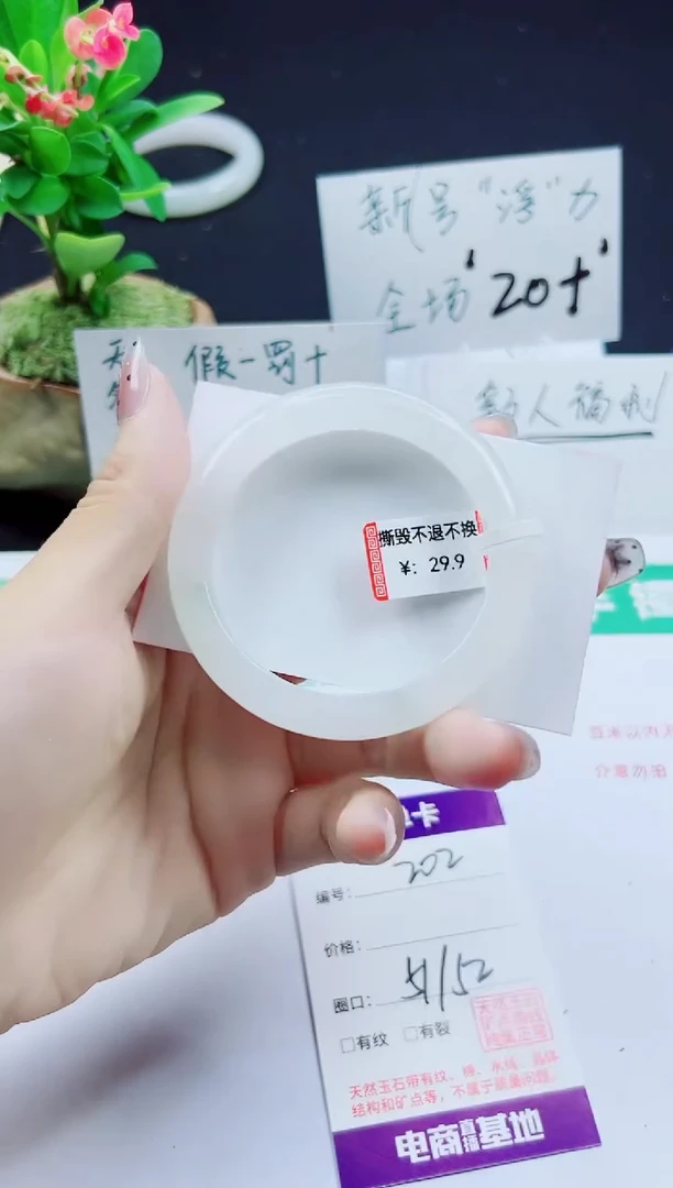 未镶嵌手镯石英质玉202-51/52