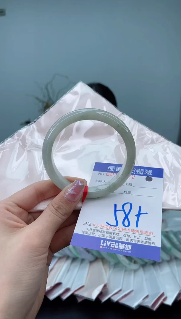 未镶嵌手镯翡翠2