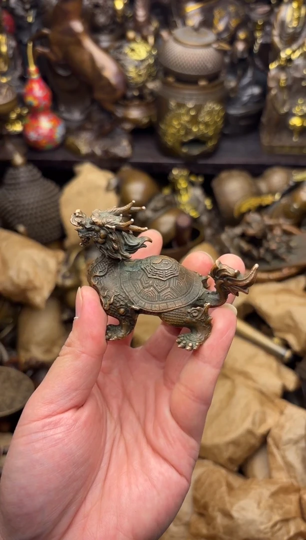 小周专属精选链接龙龟