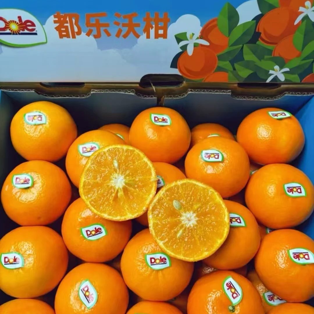 广西都乐沃柑礼盒9斤包装