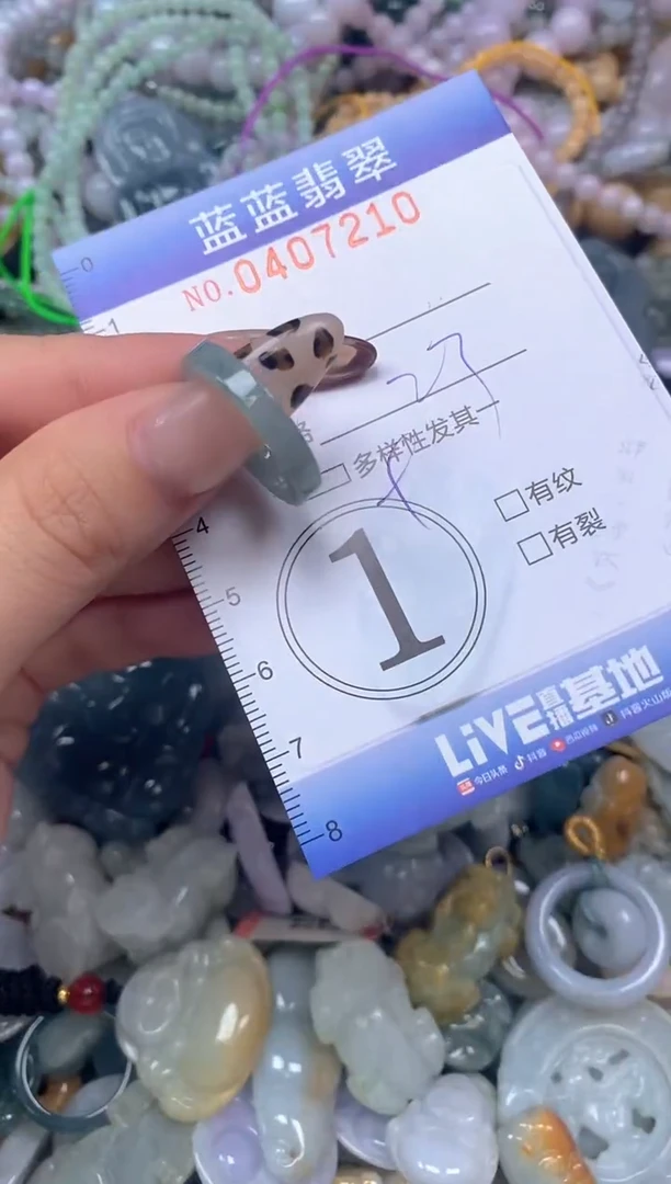 颈饰未镶嵌翡翠闪购0407210
