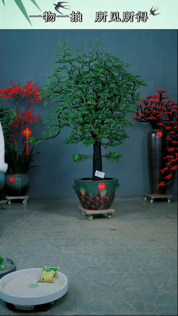 以实际为准??广东小叶紫檀*80