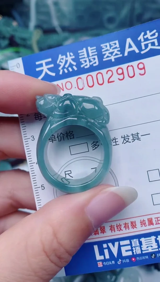 颈饰未镶嵌翡翠00002909