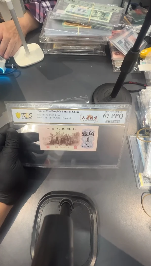 六星渡背尾539单张