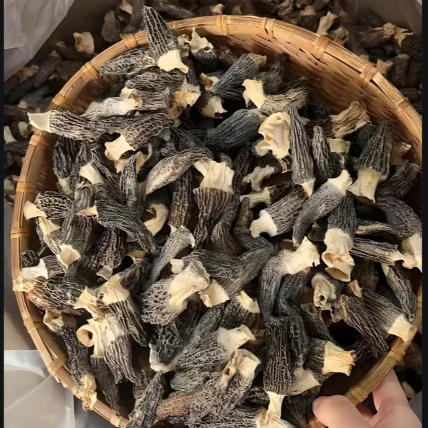 牦牛哥甄选 高山头茬羊肚菌干货   肉质肥厚  煲汤佳品