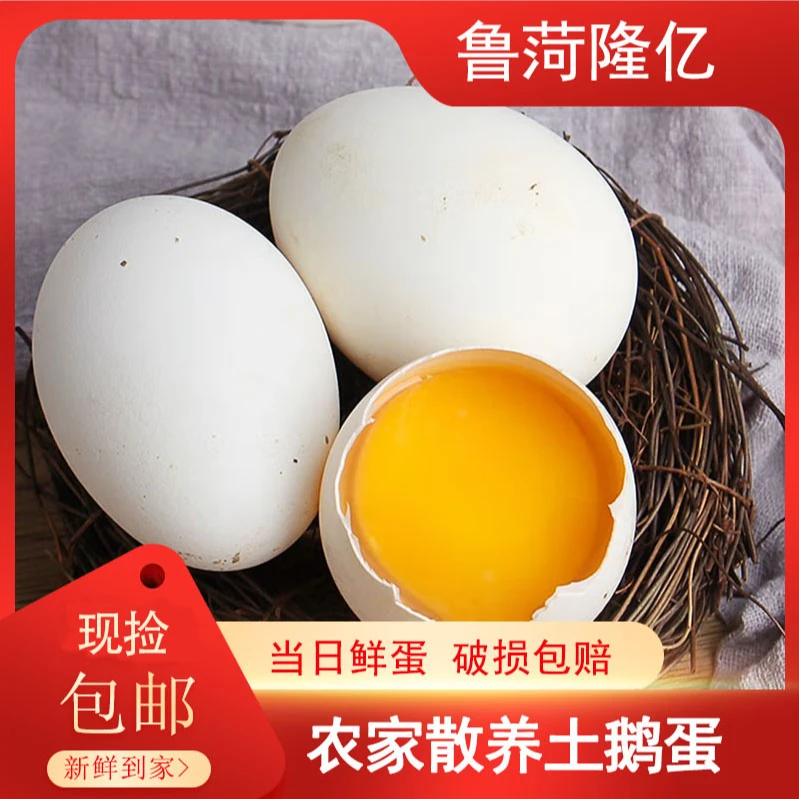 单黄鹅蛋12枚保真农家自养鹅蛋农村土鹅蛋新鲜土鹅蛋现捡破损包赔